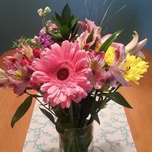 Meet your Posher, Elma